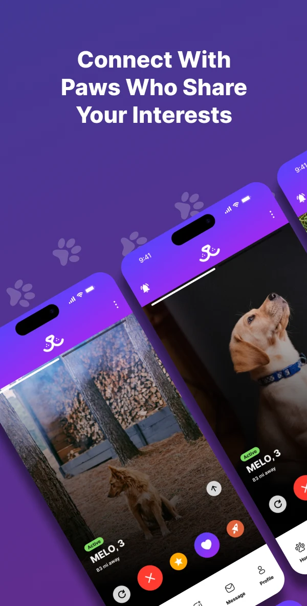 Paw Play Love screenshot